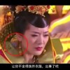 打开图子的软件下载